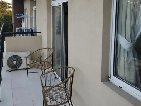 LA PALMERA