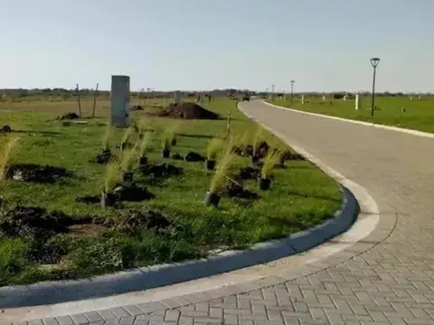 Terreno en Venta 40  mts Fondo