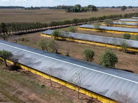 Campo en venta en Pedernales