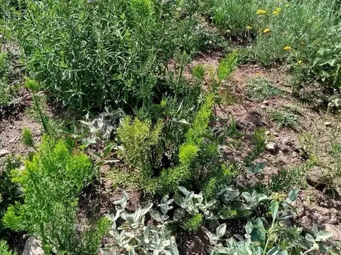 Terreno en Venta en La Cumbre, USD 85.000