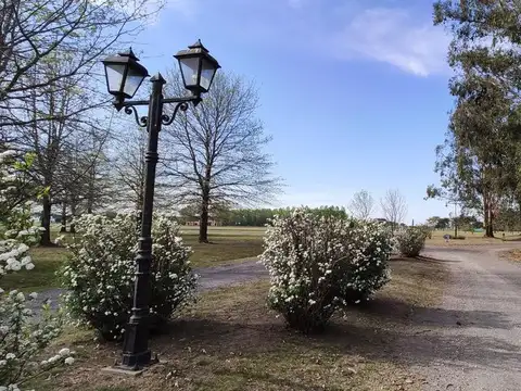 Chacra en Zona Norte