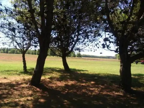 Terreno en Venta en La Macarena, USD 150.000
