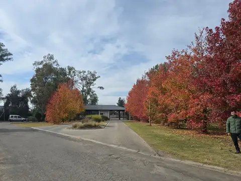 Terreno en venta en Casuarinas del Pilar, Zelaya