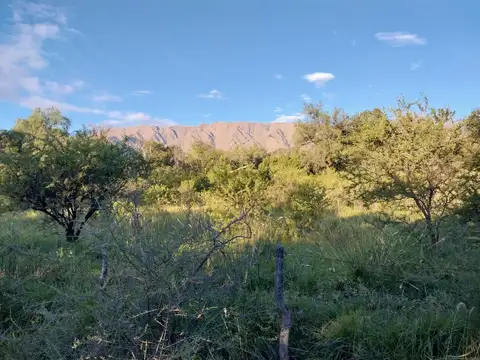 Terreno en Venta en Cruz De Caña, USD 35.000