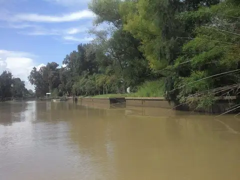 Caraguatá Quinta de Alba 1000
