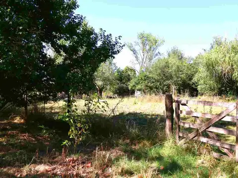 VENTA CHACRA 1 HECT CON CASA EN GOLDNEY-MERCEDES