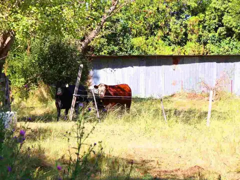 Cuartel XIX Estacion Goldney Mercedes