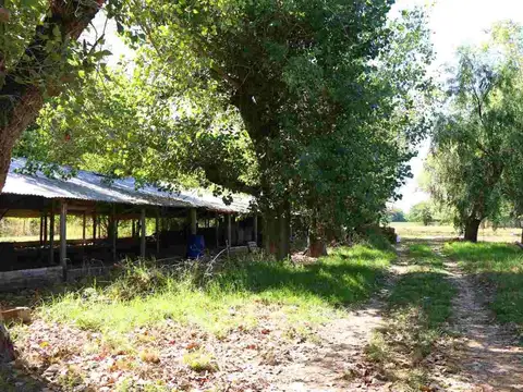 Cuartel XIX Estacion Goldney Mercedes