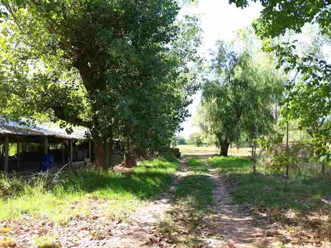 VENTA CHACRA 1 HECT CON CASA EN GOLDNEY-MERCEDES