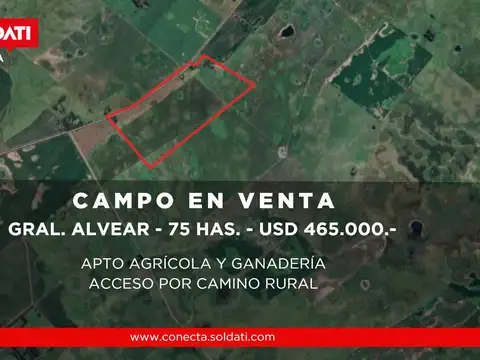 Campo mixto de 75 hectáreas en Gral.Alvear -  Venta
