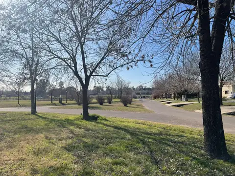 Terreno en Venta 47  mts Fondo