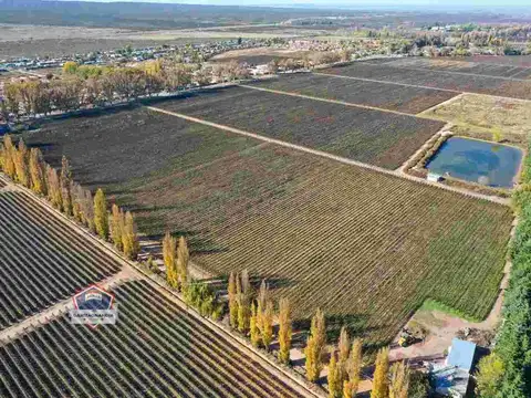 Finca de 33 hectáreas a la Venta en Agrelo