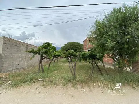 Terreno en Venta 10  mts Frente