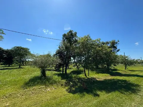 Terreno en Venta 20  mts Frente