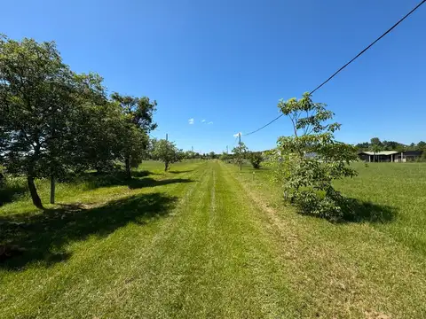 Terreno en Venta 60  mts Fondo