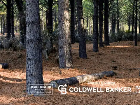 Terreno en Venta en Caleofu, USD 420.000