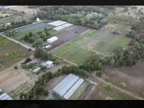 Terreno - Abasto