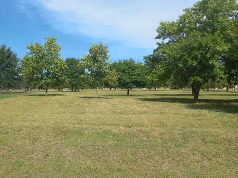 Mirabosques - Lote 200