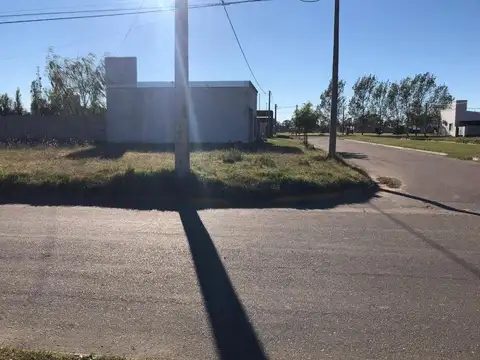 Lote . | Bartolome Gonzalez