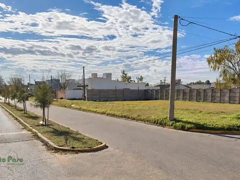 Lote . | Bartolome Gonzalez
