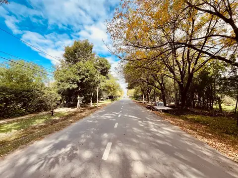 Maiztegui al 2800