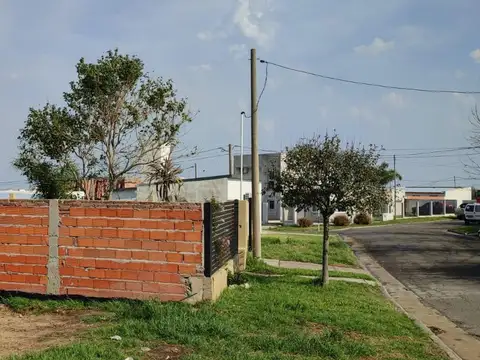 Las Glicinas