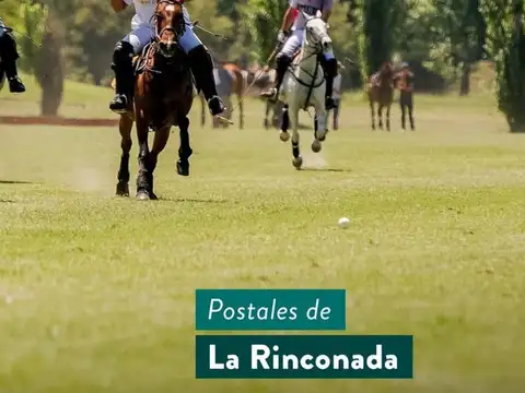 Terreno en Venta 20  mts Frente