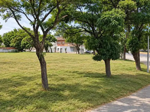 Terreno - Ruta 226