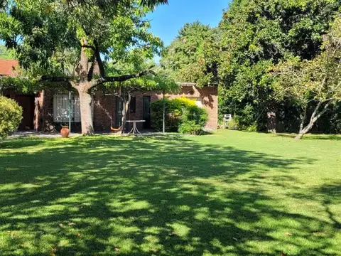 Alejandro Vitale 500