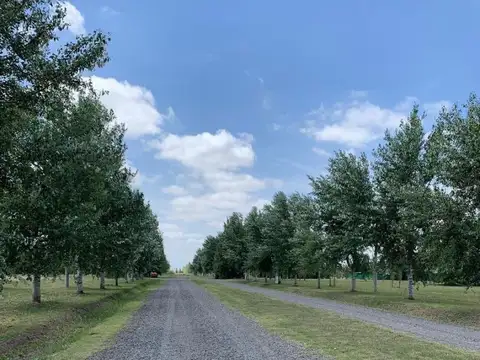 Terreno en Venta de 1000,0 m2