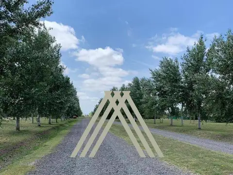 Terreno en Venta de 1000,0 m2