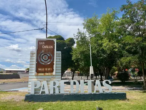 Terreno en Venta en Pareditas, USD 15.000