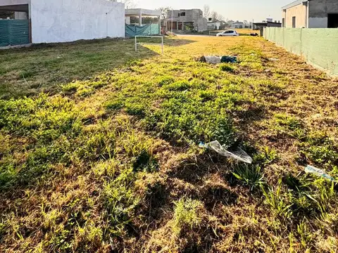 Las Quintas 2