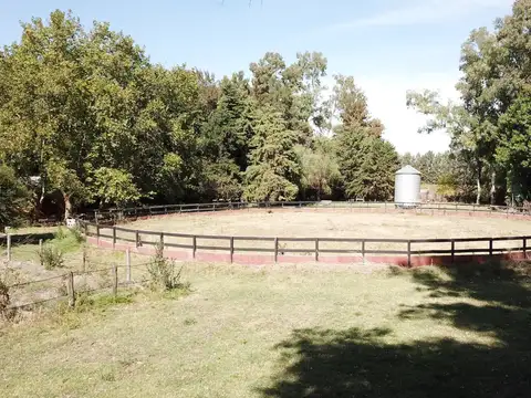 Haras en Torres con arboleda y mejoras