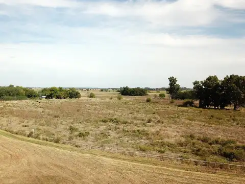 26 Has. Haras con boxes y pista de carrera