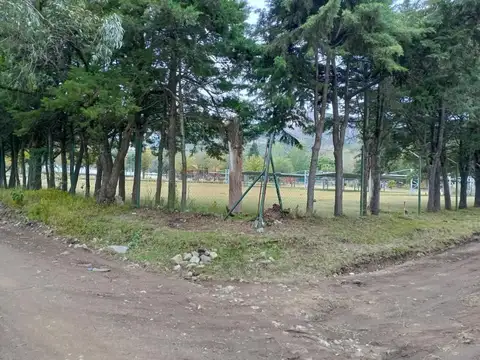 San Lucas 100