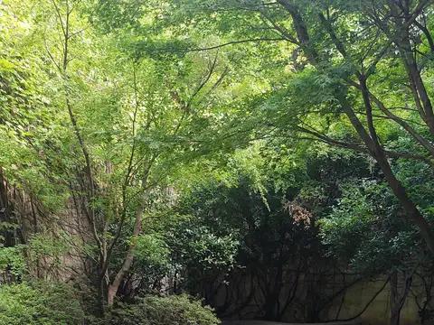 Departamento en Alquiler 20 años