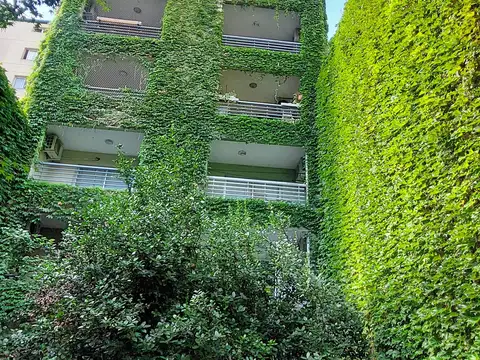 Carlos calvo 1500, Piso 5