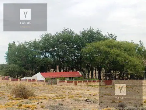 Campo - Pico Truncado