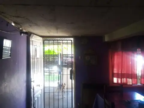 CARLOS MORGANTI 100