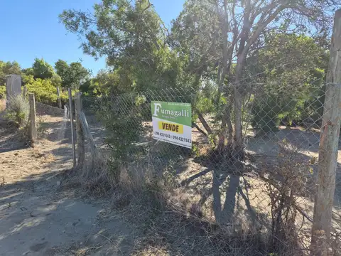 Lote en PH de 587 m2 de superficie con planos aprobados para construir vivienda.