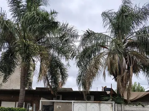 GABRIELA MISTRAL al 1500