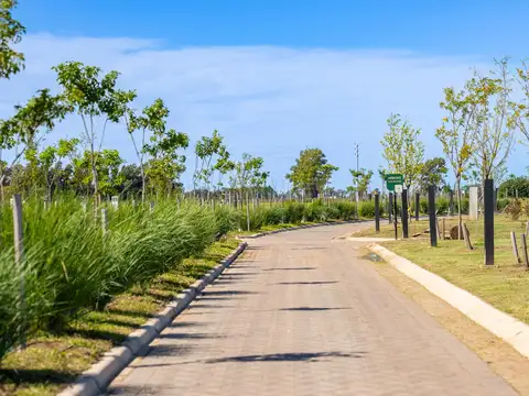 Terreno en Venta 25  mts Fondo
