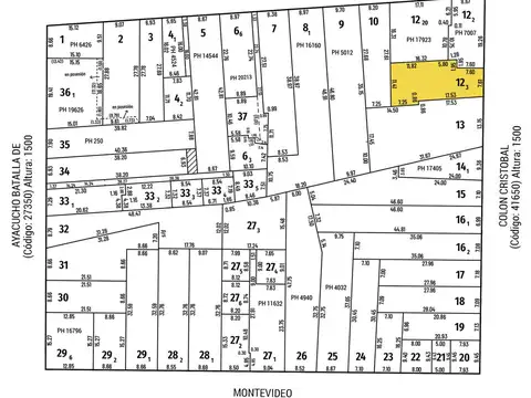 Colon 1500