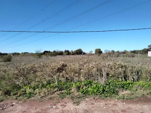 Campo 2 hectáreas en Abasto