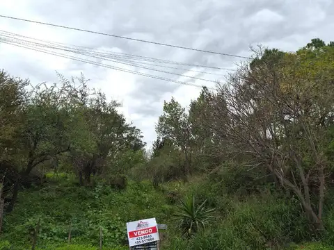 Avenida Las Moras 400