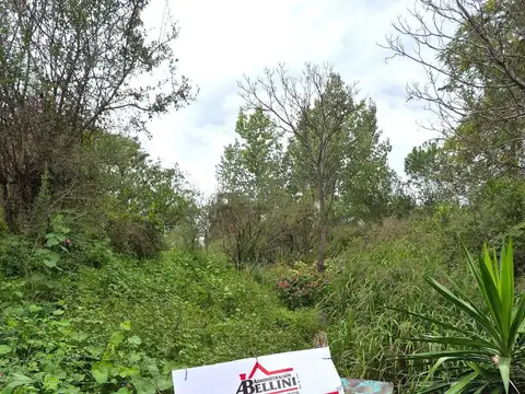 Terreno en Venta 49  mts Fondo