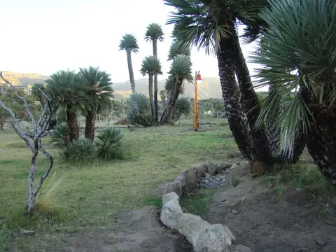 Campo en Venta – Ideal Desarrollo Turístico