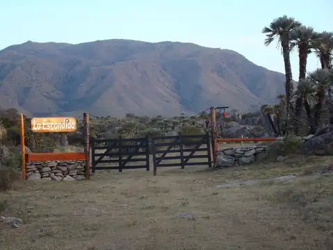 Campo en Venta – Ideal Desarrollo Turístico