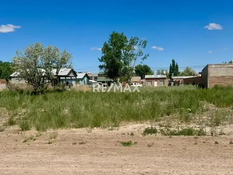 EN VENTA DOS LOTES EN SAN PATRICIO DEL CHAÑAR
